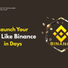 Launch Your App Like Binance in Days