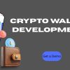 crypto wallet development