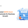 Trusted MERN Stack Professionals for Business Growth
