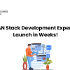 MEAN Stack Development Experts – Launch in Weeks!