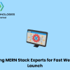 Leading MERN Stack Experts for Fast Web App Launch