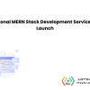 Professional MERN Stack Development Services – Fast Launch