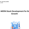 Proven MERN Stack Development for Business Growth