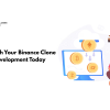 Launch Your Binance Clone Development Today