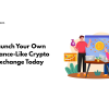 Launch Your Own Binance-Like Crypto Exchange Today