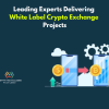 Leading Experts Delivering White Label Crypto Exchange Projects