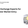 Crypto Exchange Experts for Faster Market Entry