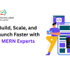 Build, Scale, and Launch Faster with MERN Experts