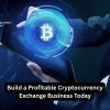 Build a Profitable Cryptocurrency Exchange Business Today