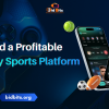 Build a Profitable Fantasy Sports Platform