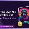Launch Your Own NFT Marketplace with OpenSea Clone Script