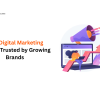 Hire Digital Marketing Experts Trusted by Growing Brands