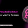 Custom Polkadot Blockchain Solutions for Growing Businesses