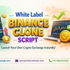 Launch Your Crypto Exchange in UAE with White Label Binance Clone Script