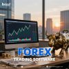 What Nobody Tells You About Forex Trading Software
