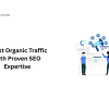 Boost Organic Traffic with Proven SEO Expertise