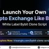 Launch Your Own Crypto Exchange Like Bybit