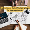 Hire a Dedicated Digital Marketing Expert for Business Growth