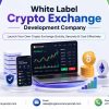 White Label Crypto Exchange Development in USA