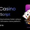 Don’t Build from Scratch: Scale Fast with a Cost-Effective Coincasino Clone