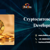 Enhance Cryptocurrency Wallet Development with Asset Management