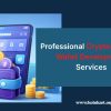 Professional Cryptocurrency Wallet Development Services