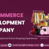 NxDeep Connectz – Reliable E-Commerce Development Company