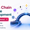 Cross Chain Bridge Development for Faster and Safer Asset Transfers