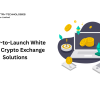 Ready-to-Launch White Label Crypto Exchange Solutions