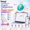 Advanced USDT Transaction Performance with Flash