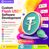 Custom Flash USDT Software Development for Your Business