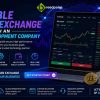 Launch a Scalable Digital Exchange with an Expert Development Company